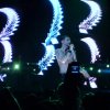 DSC03554